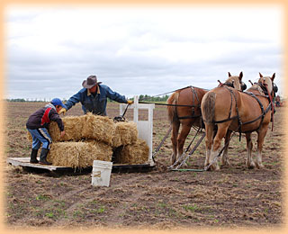 Participating in the feed team race at the 2008 Field Day