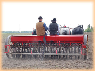 Four abreast on the drill at 2008 Field Day